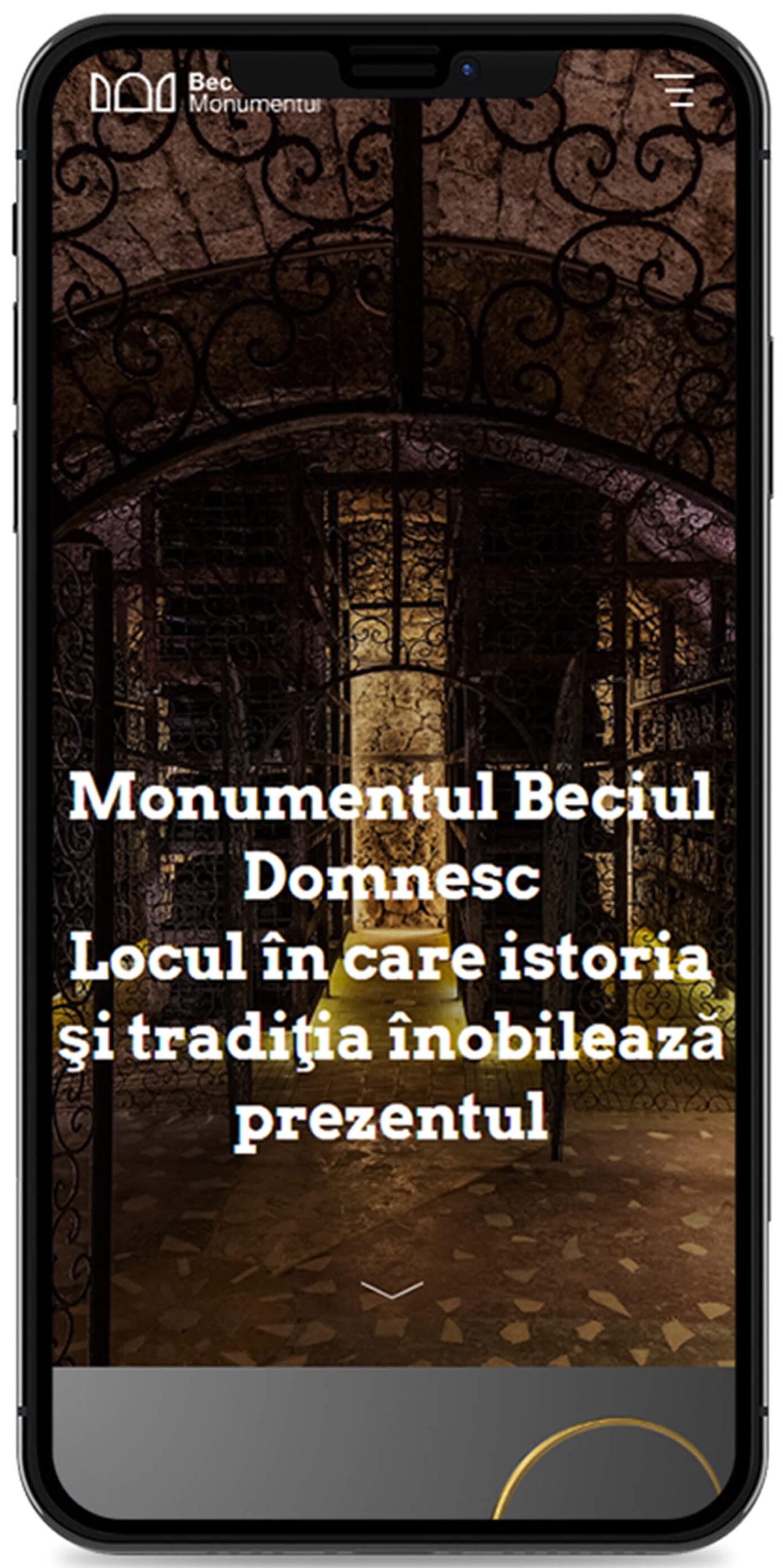 Beciul Domnesc - Mobile View