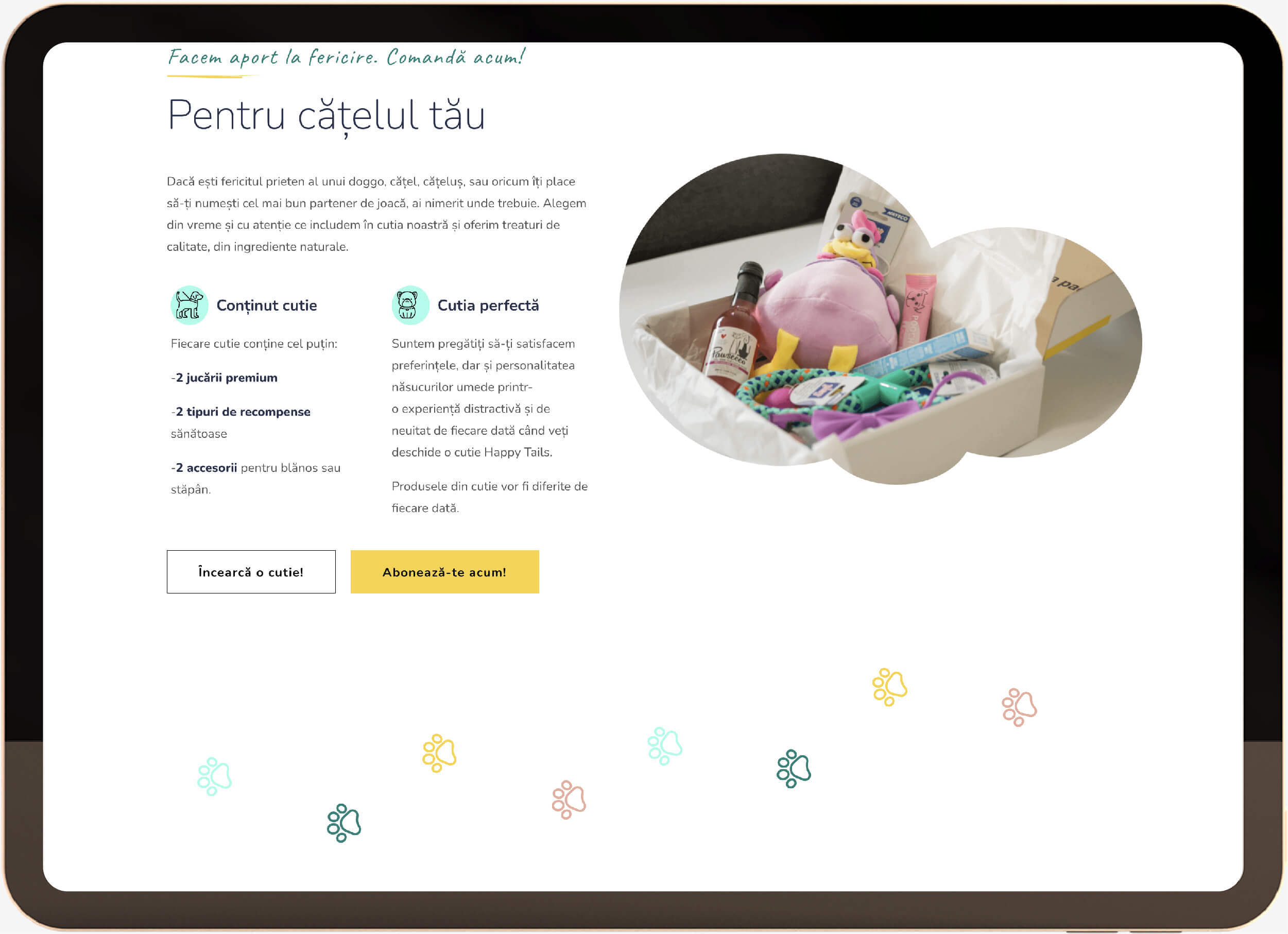 Happy Tails - Pentru catelul tau