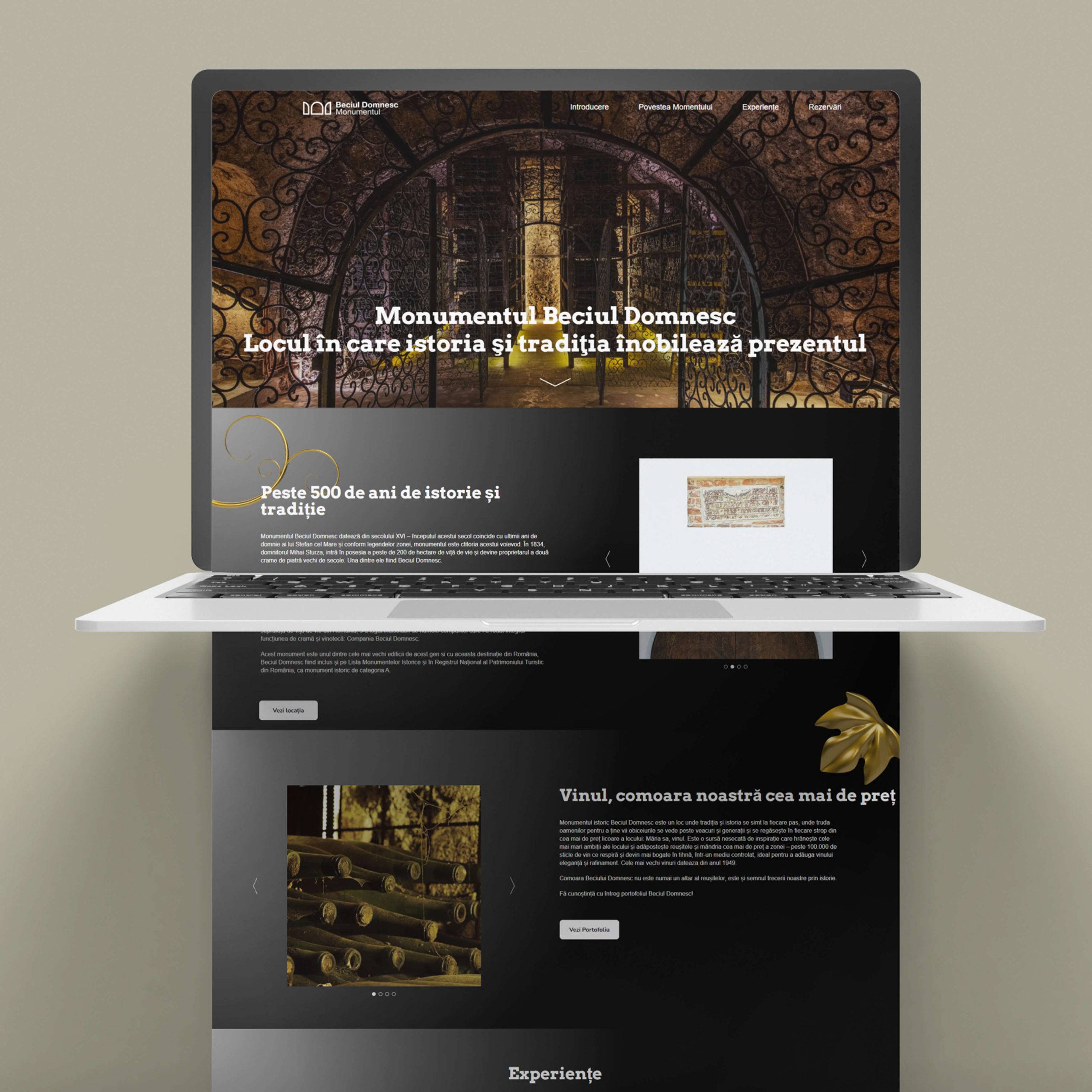 proiect web design baboon