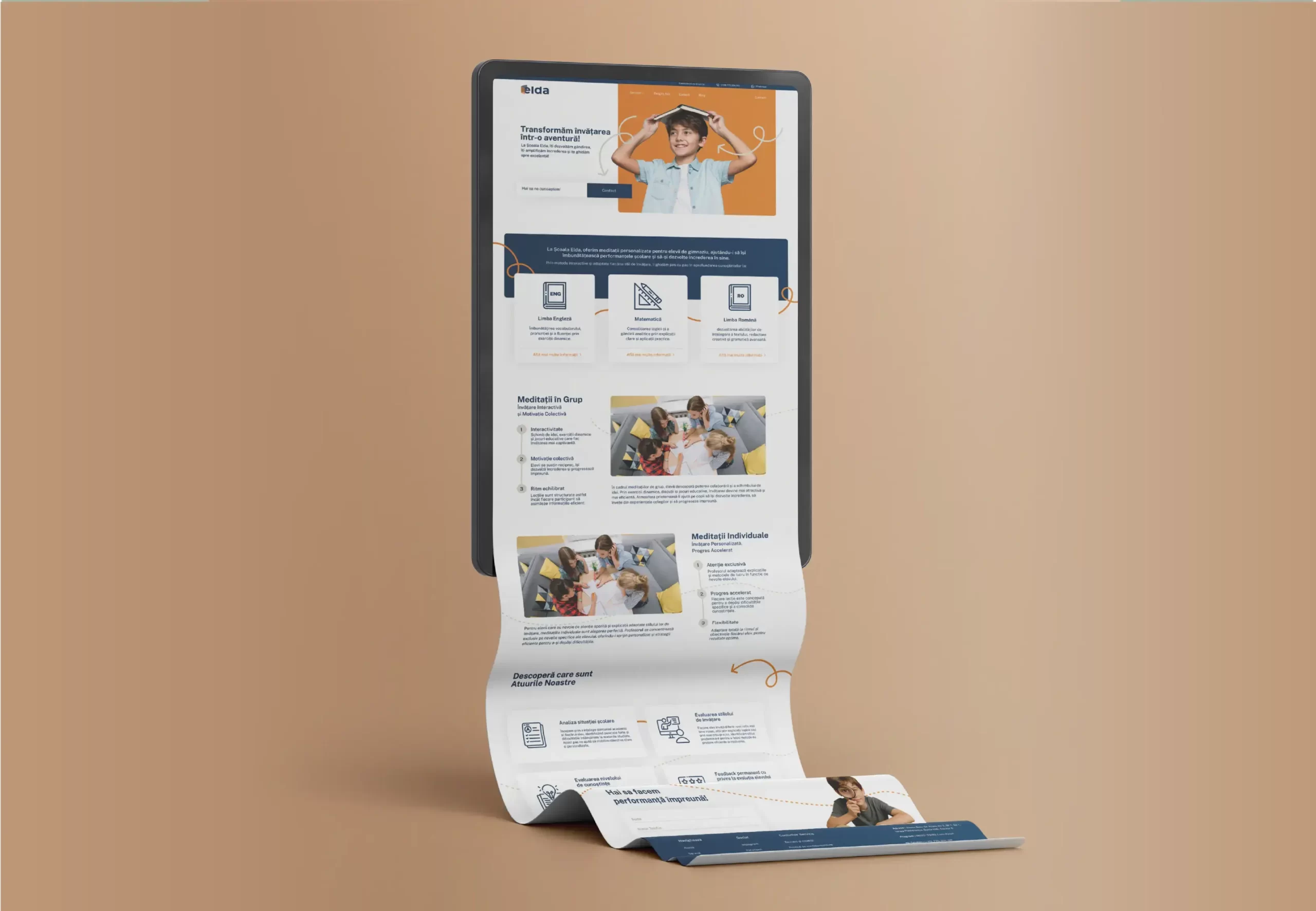 proiect web design baboon