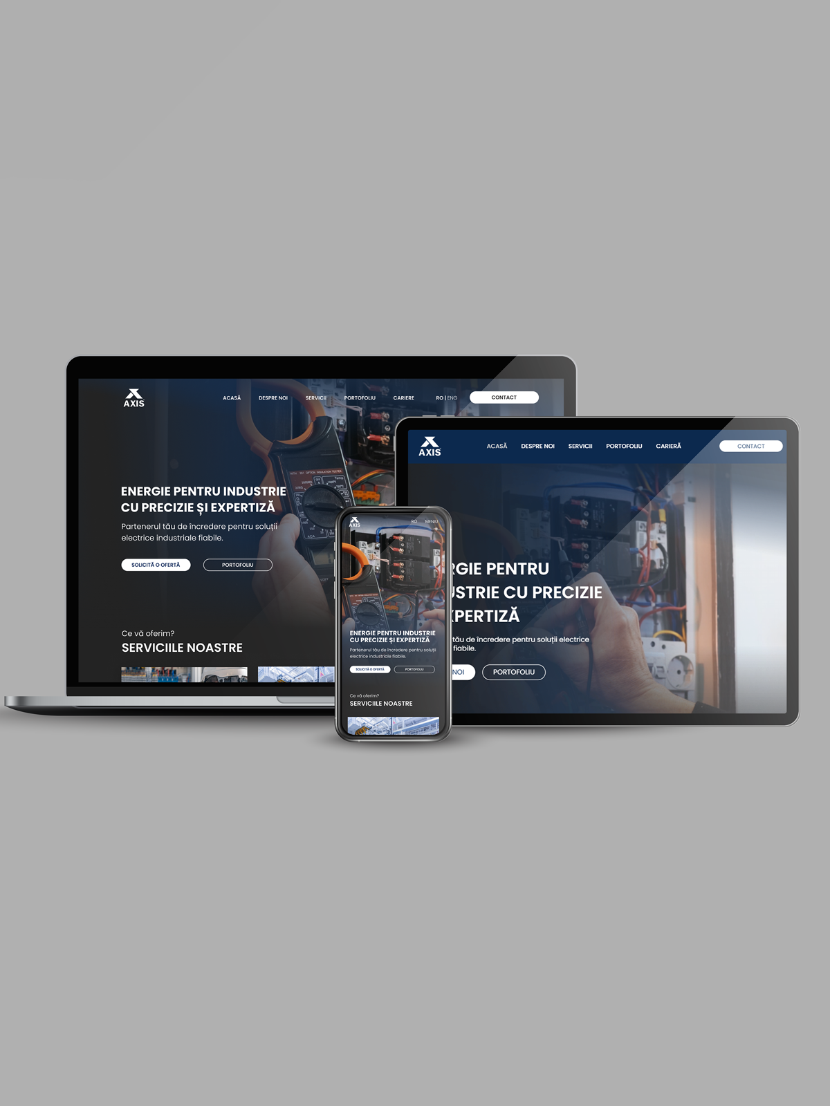 proiect web design baboon