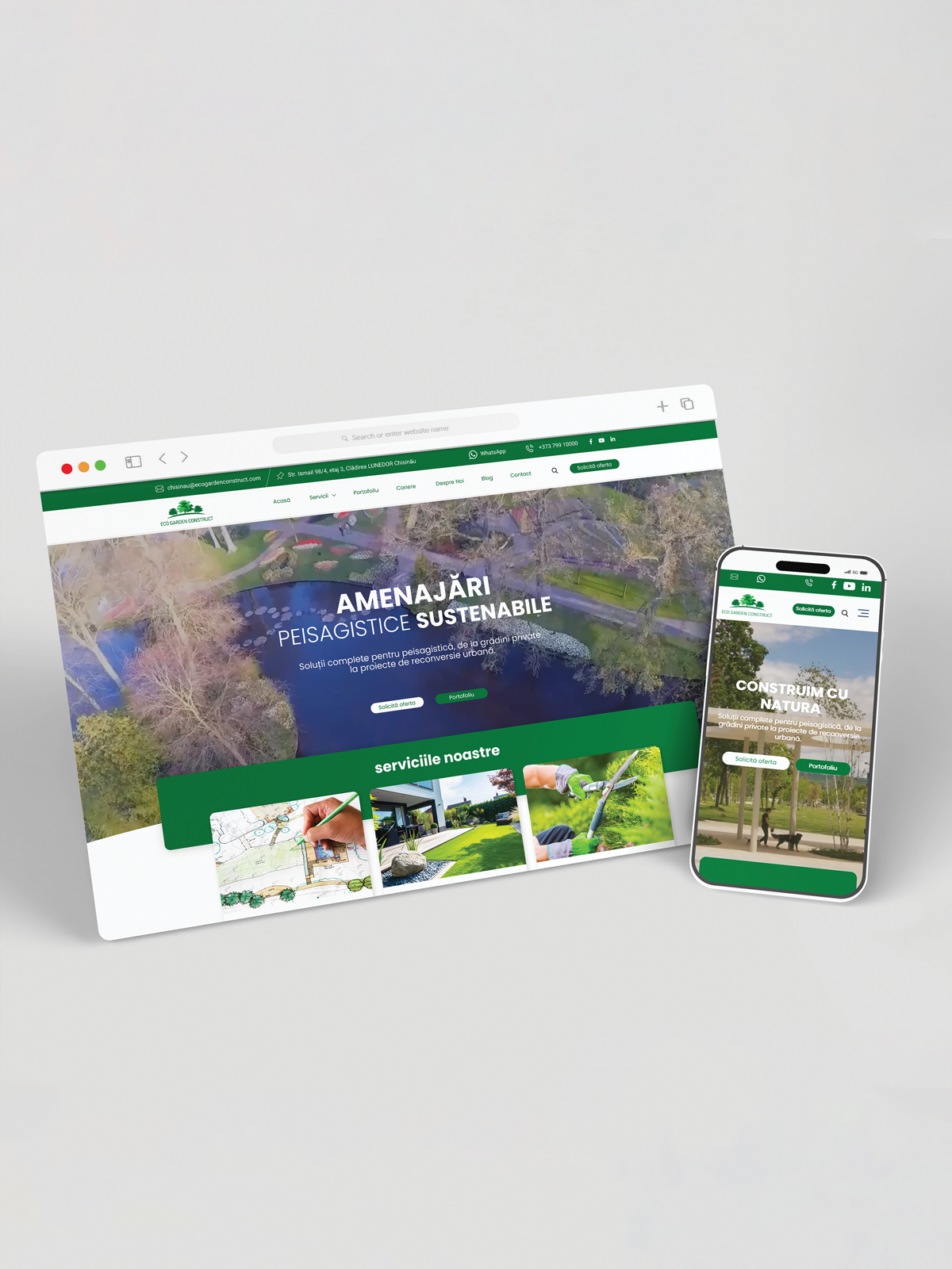 proiect web design baboon